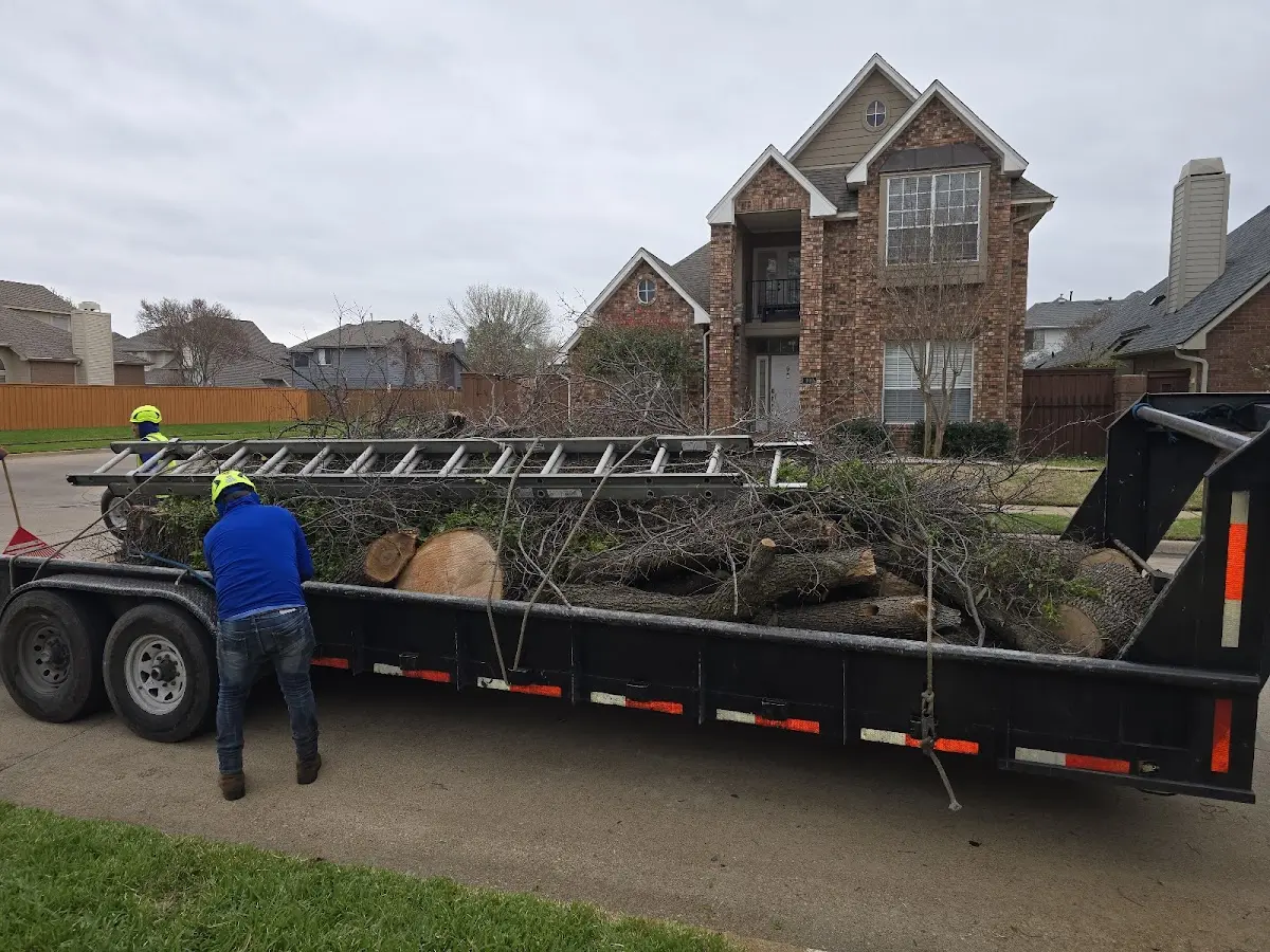 Expert Tree Fertilization with proper safety equipment in Maceo
